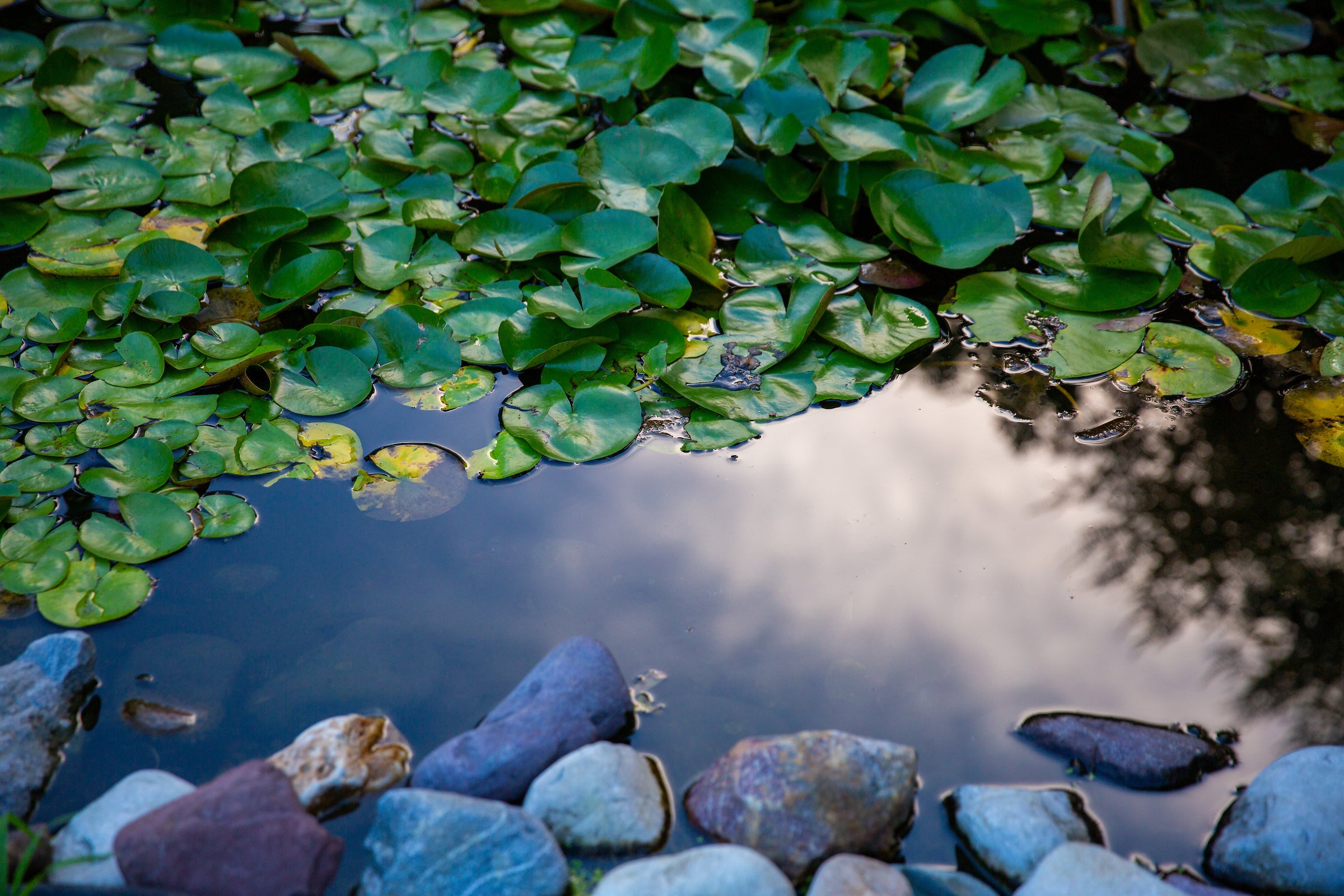 smooth rocks next to reflective water