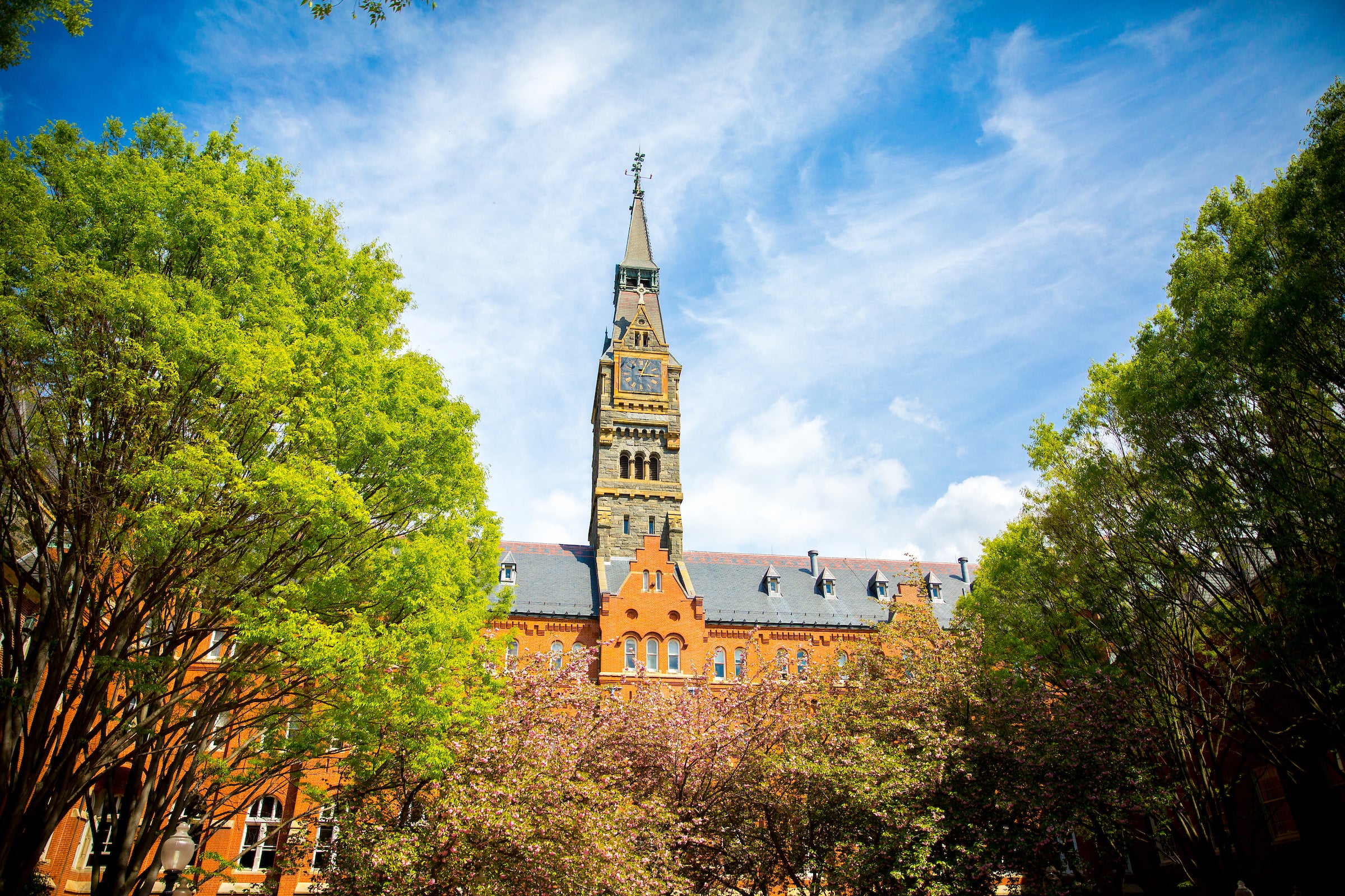 Healy Hall